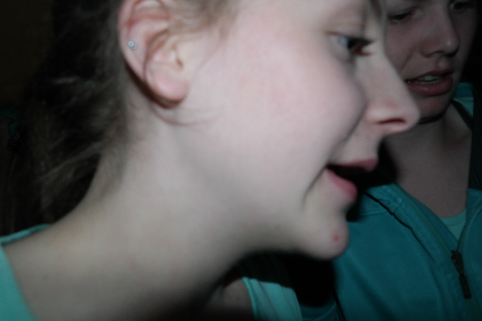 Bild 1 (378)